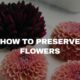 How to Preserve a Flower
