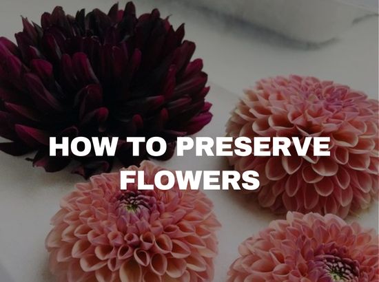 How to Preserve a Flower