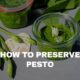 how to preserve basil pesto