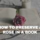 how to preserve roses in a Book