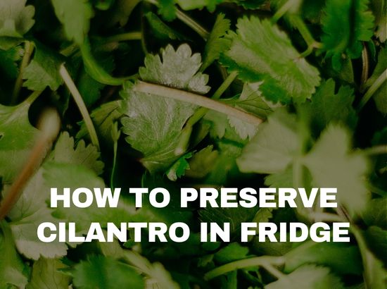 how to preserve cilantro in freezer