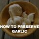 garlic how to preserve