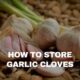 how to store fresh garlic