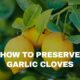 how to preserve lemon for long time