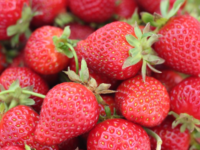 how to preserve fresh strawberries