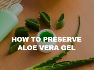 how to preserve aloe vera