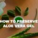 how to preserve aloe vera