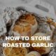 how to preserve roasted garlic