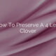 How To Preserve A 4 Leaf Clover