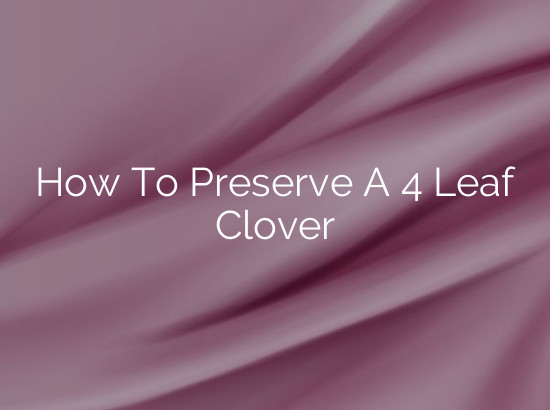 How To Preserve A 4 Leaf Clover