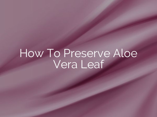 How To Preserve Aloe Vera Leaf