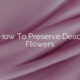 How To Preserve Dead Flowers