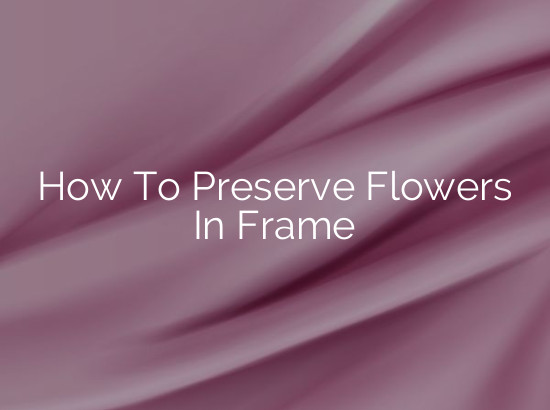 How To Preserve Flowers In Frame