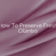 How To Preserve Fresh Cilantro