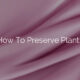 How To Preserve Plants