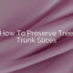 How To Preserve Tree Trunk Slices