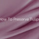 How To Preserve Tulips