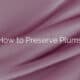 How to Preserve Plums