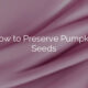 How to Preserve Pumpkin Seeds