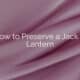 How to Preserve a Jack O Lantern