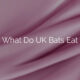 What Do UK Bats Eat