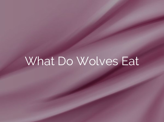 What Do Wolves Eat